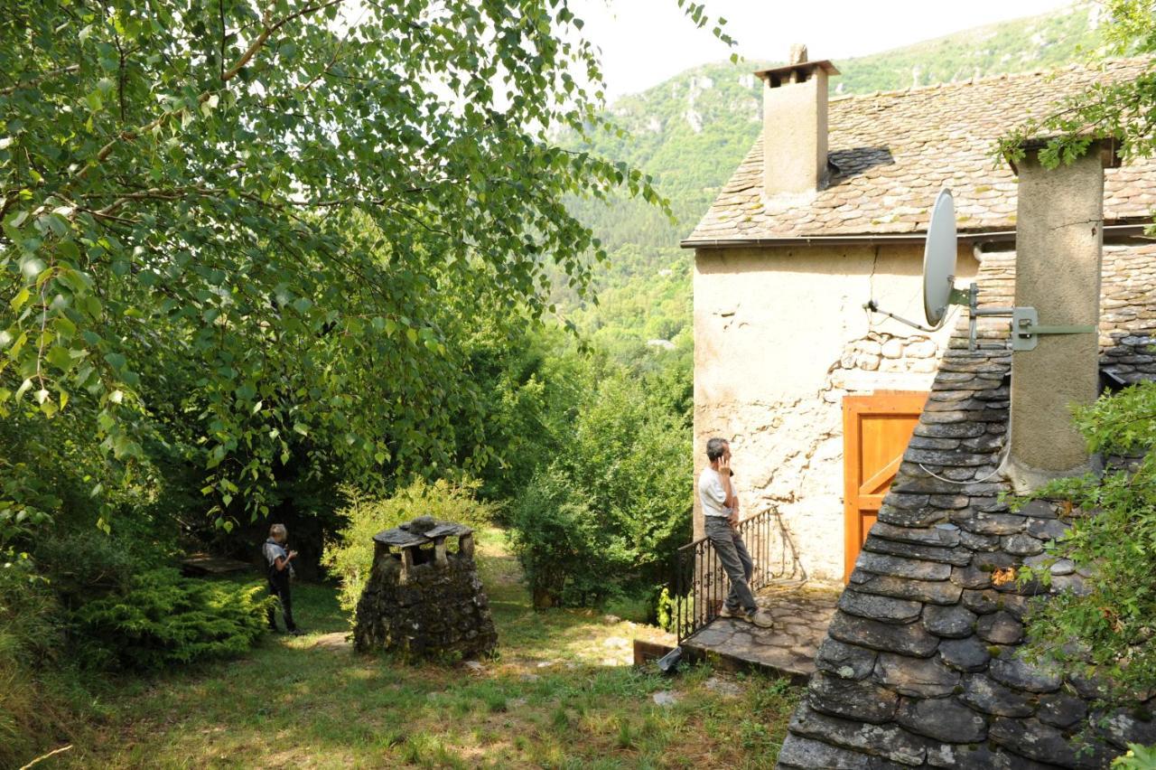 Sabatou, Le Cottage Cevenol Florac Eksteriør billede